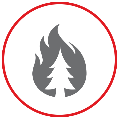 Icon of Red Circle around fire with a tree in the middle.