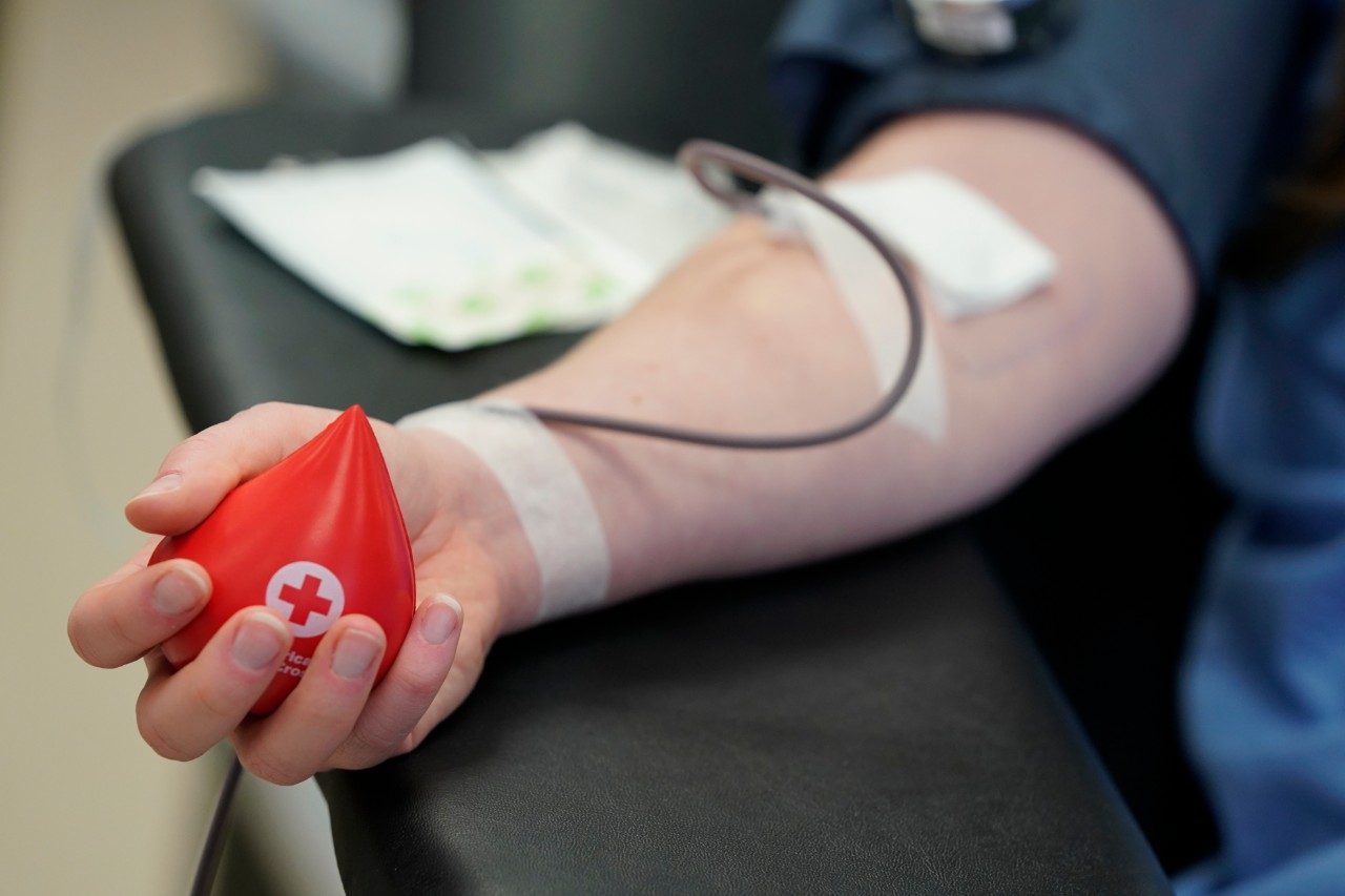 Hand squeezing Red Cross blood drop shaped stress ball while donating blood.